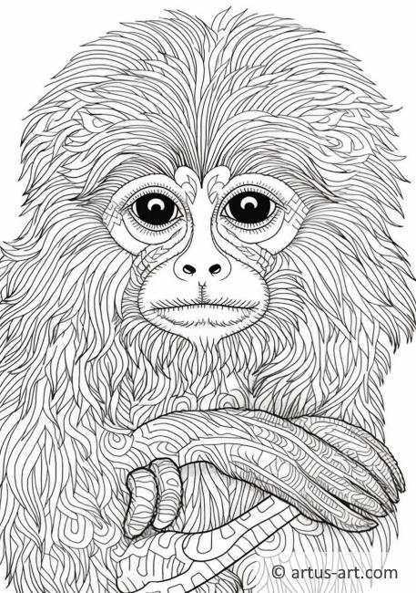 Tamarin monkey Coloring Page